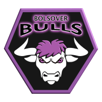 Bolsover Bulls logo